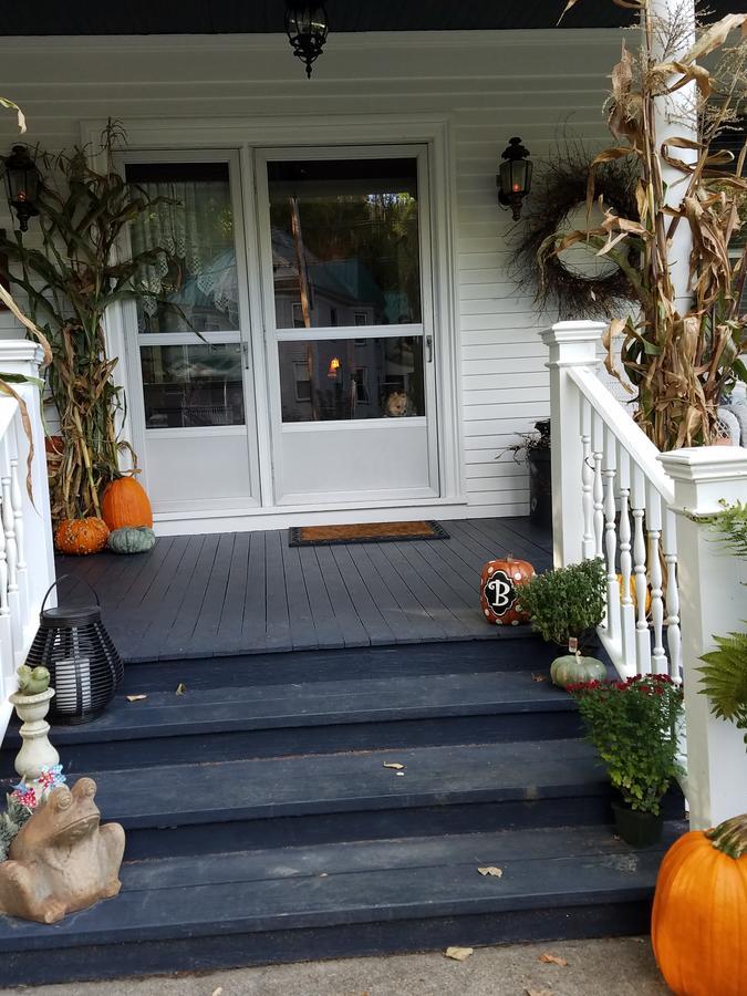 Bed and Breakfast The Perkins House Cornish Экстерьер фото